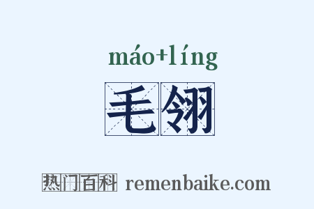 毛翎是什么意思的图片